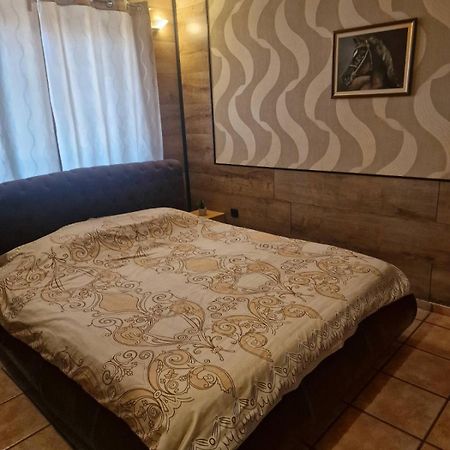 Guest House Maja Novi Sad Exteriér fotografie