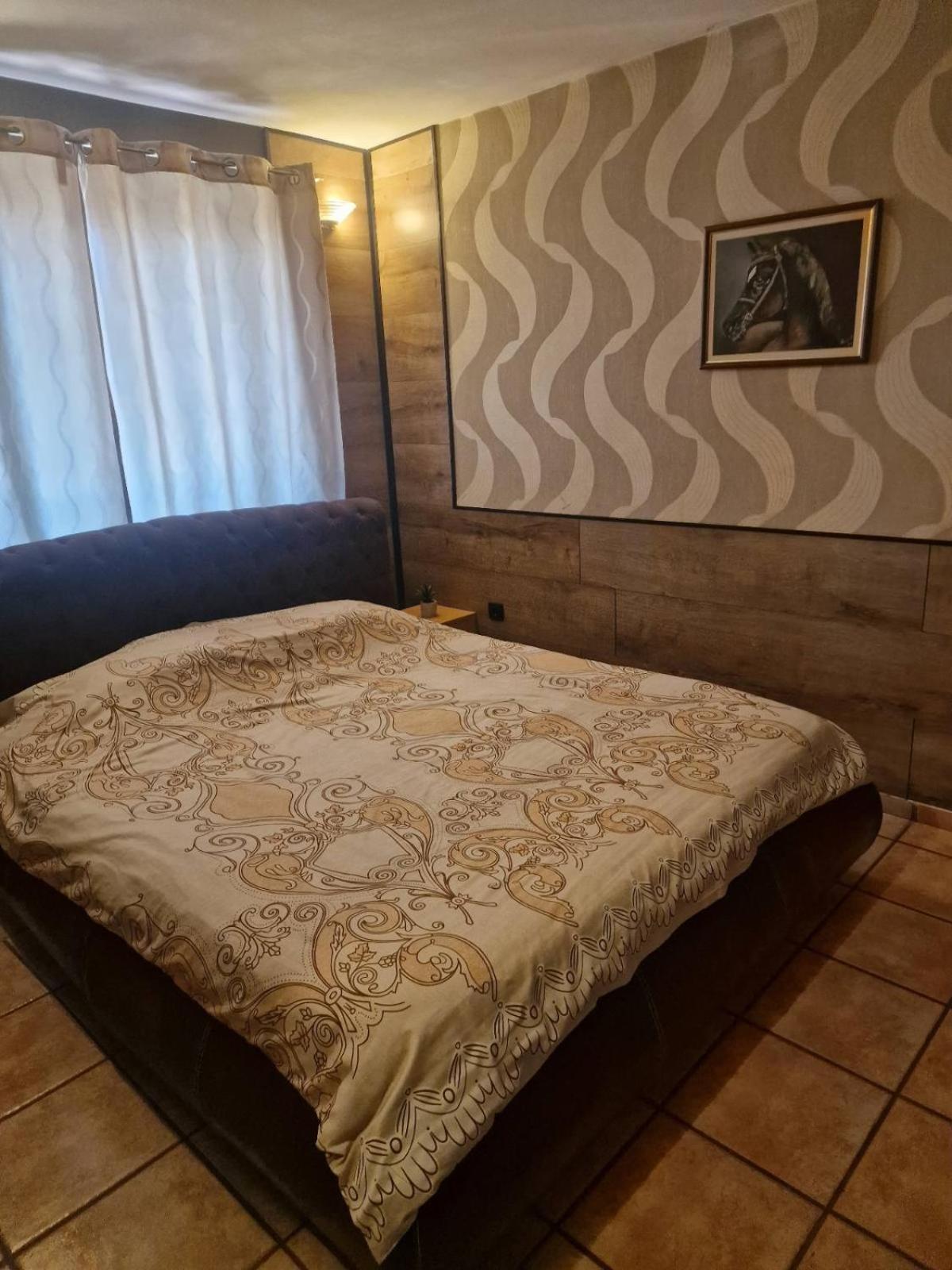 Guest House Maja Novi Sad Exteriér fotografie