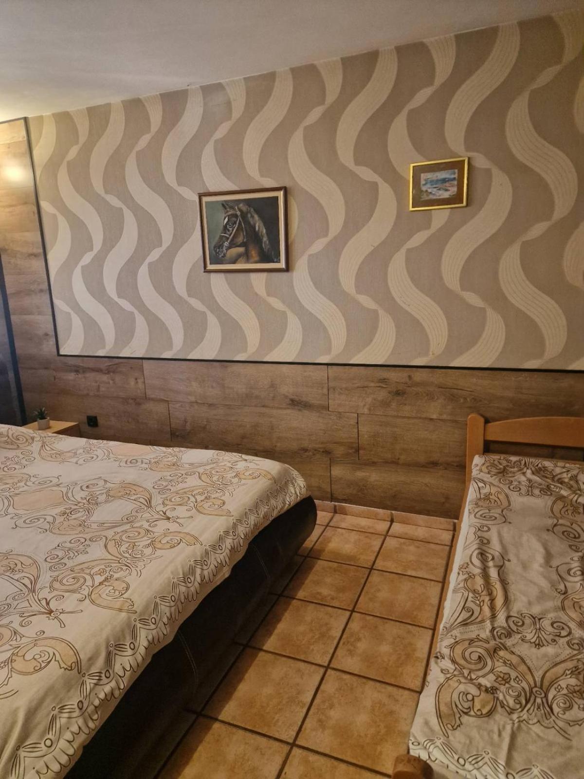 Guest House Maja Novi Sad Exteriér fotografie