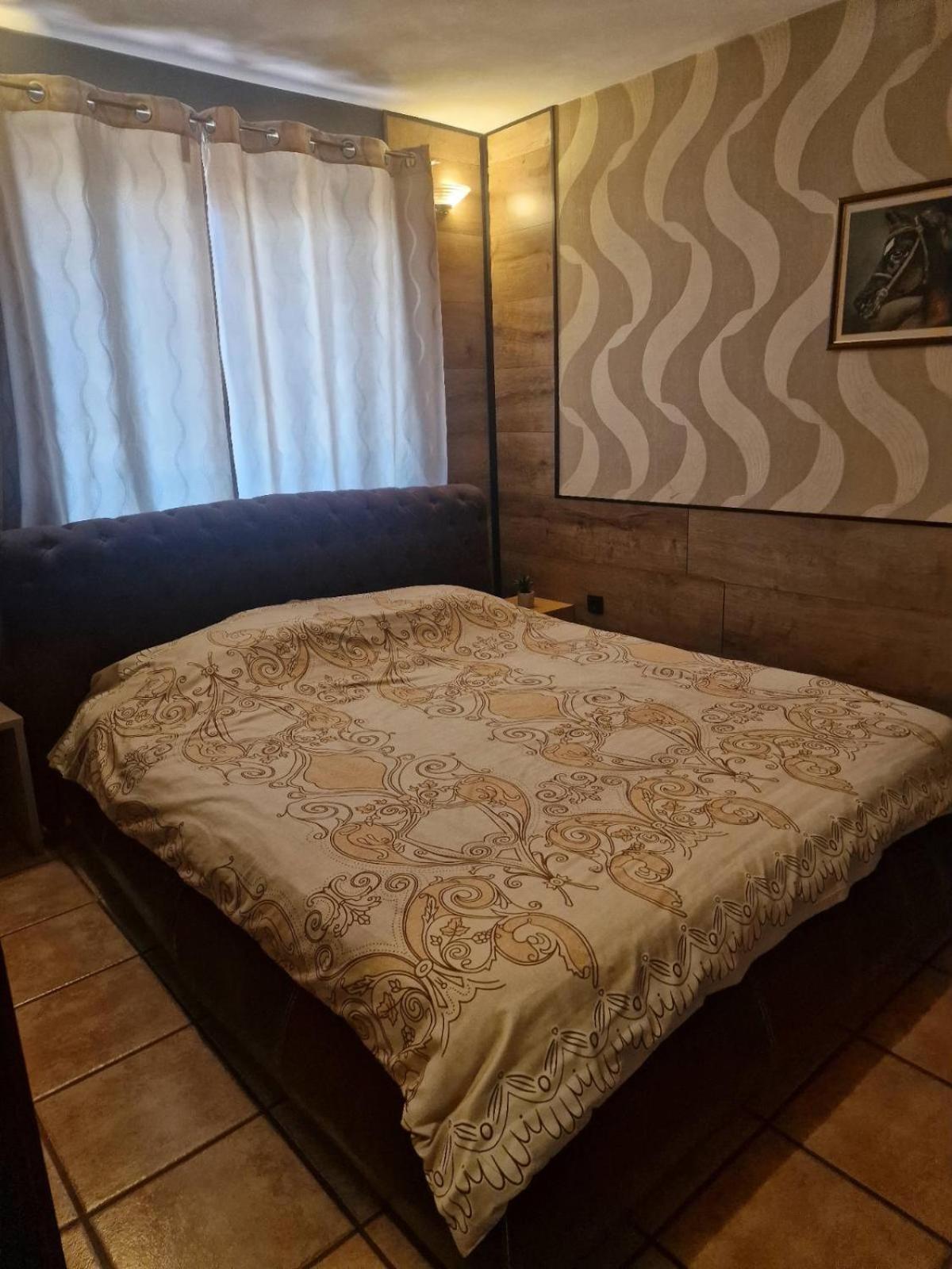 Guest House Maja Novi Sad Exteriér fotografie